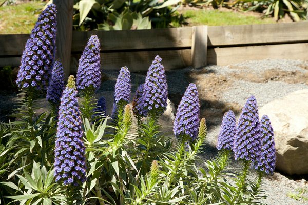 Top 10 des meilleurs aspirateurs pour les personnes allergiques